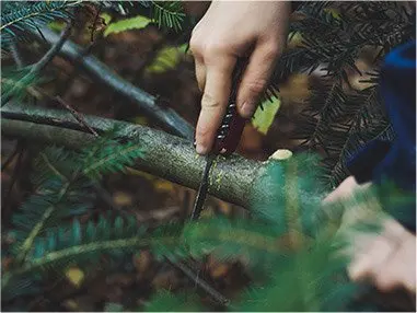 Приложения , Шилдон