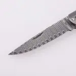 OEM 접이식 포켓 나이프 다마스커스 블레이드 에보니 핸들 GC-51D-BW