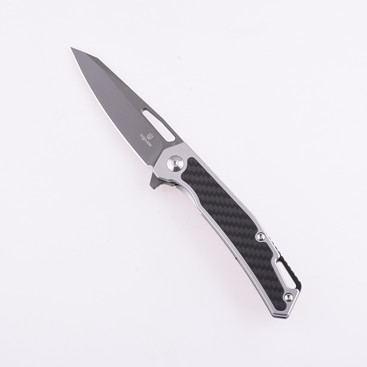 Can I Use an EDC Pocket Knife for Self-Defense?, Shieldon