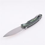 Shieldon Folding Pocket Knife Bulbasaur Sandvik 14C28N Blade G10 Handle 9061G-M