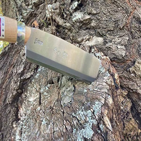 10 recommended outdoor hatchets [for chopping wood and bonfires in camping], Shieldon