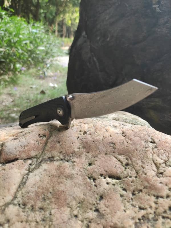 Outdoor Folding Knives: All You Need to Know, Shieldon