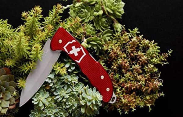 11 recommended Victorinox knives! How to care, Shieldon