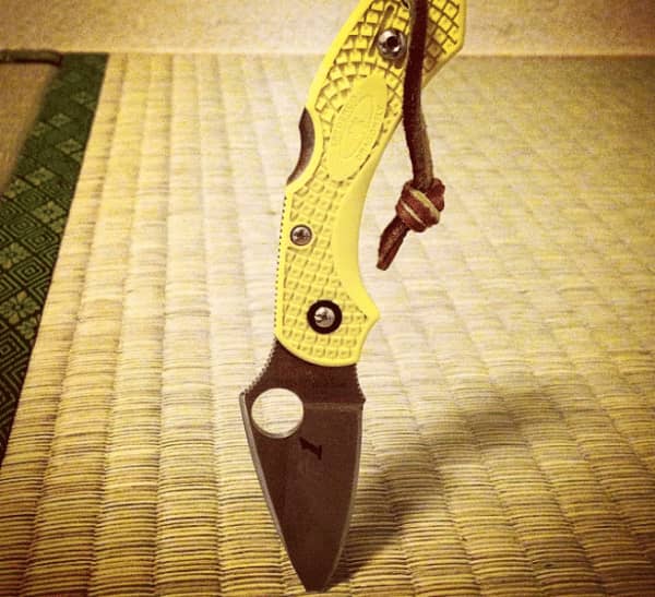 В чем привлекательность «ножа» Spyderco? Представлен вместе с 10 рекомендуемыми вариантами! , Шилдон