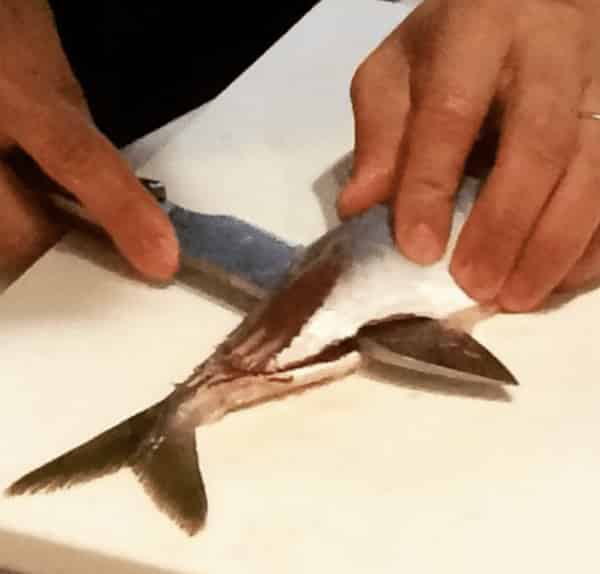 Nécessités ! Présentation du charme des couteaux EDC, comment les choisir et produits recommandés ! , Bouclier