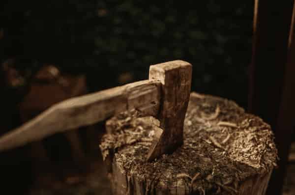 What are the necessary tools for “chopping wood”? 5 items that beginners should have, Shieldon