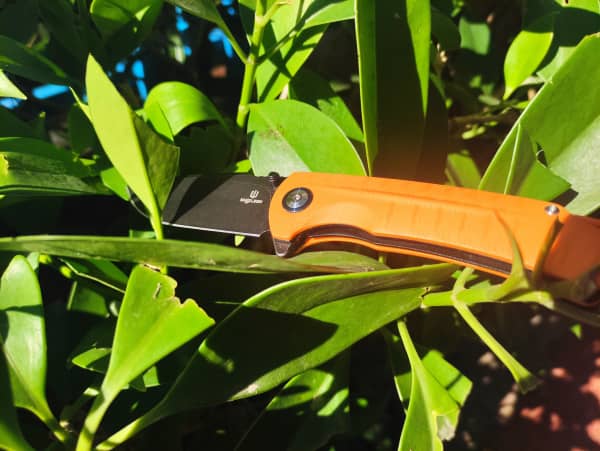 When Should You Clean and Sanitize Your Pocket Knife?, Shieldon