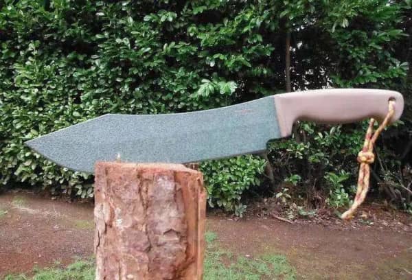 Un cuchillo grande que ha resistido la mayor prueba práctica: Master Knife  - Shieldon