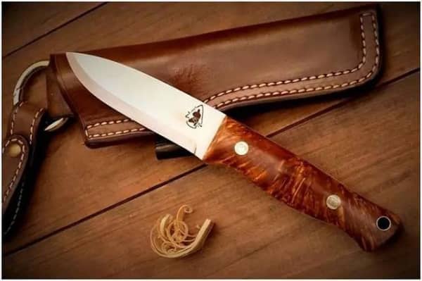 Лучший выбор древесины для рукояток ножей: 9 пород древесины, которые вы должны знать , Шилдон