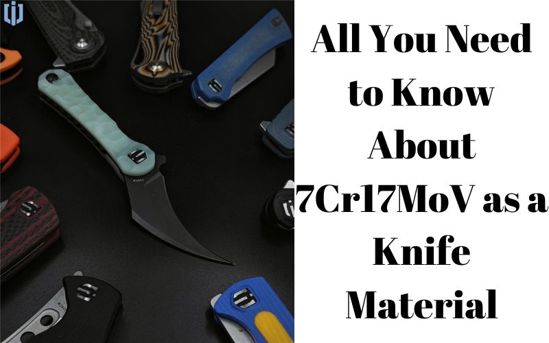 Блог , Шилдон