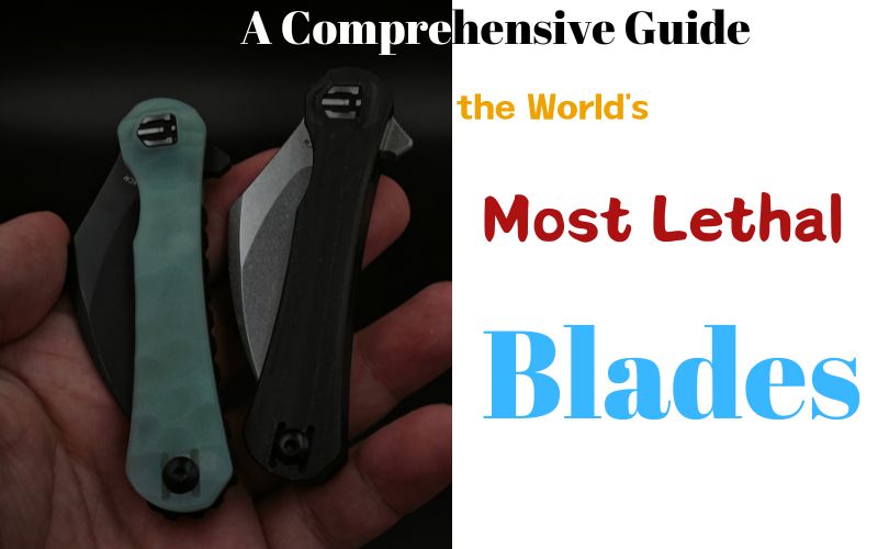 Блог , Шилдон