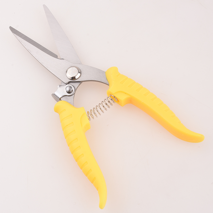 Taschenmesser , Shieldon